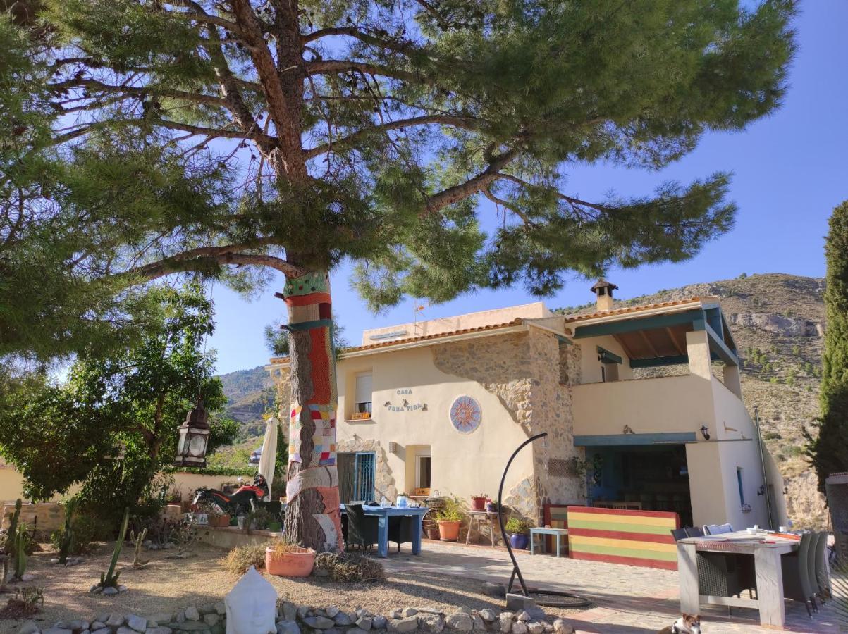 Casa Pura Vida Panzió Relleu Kültér fotó
