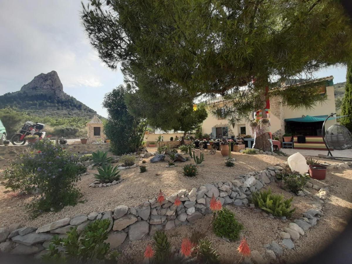 Casa Pura Vida Panzió Relleu Kültér fotó