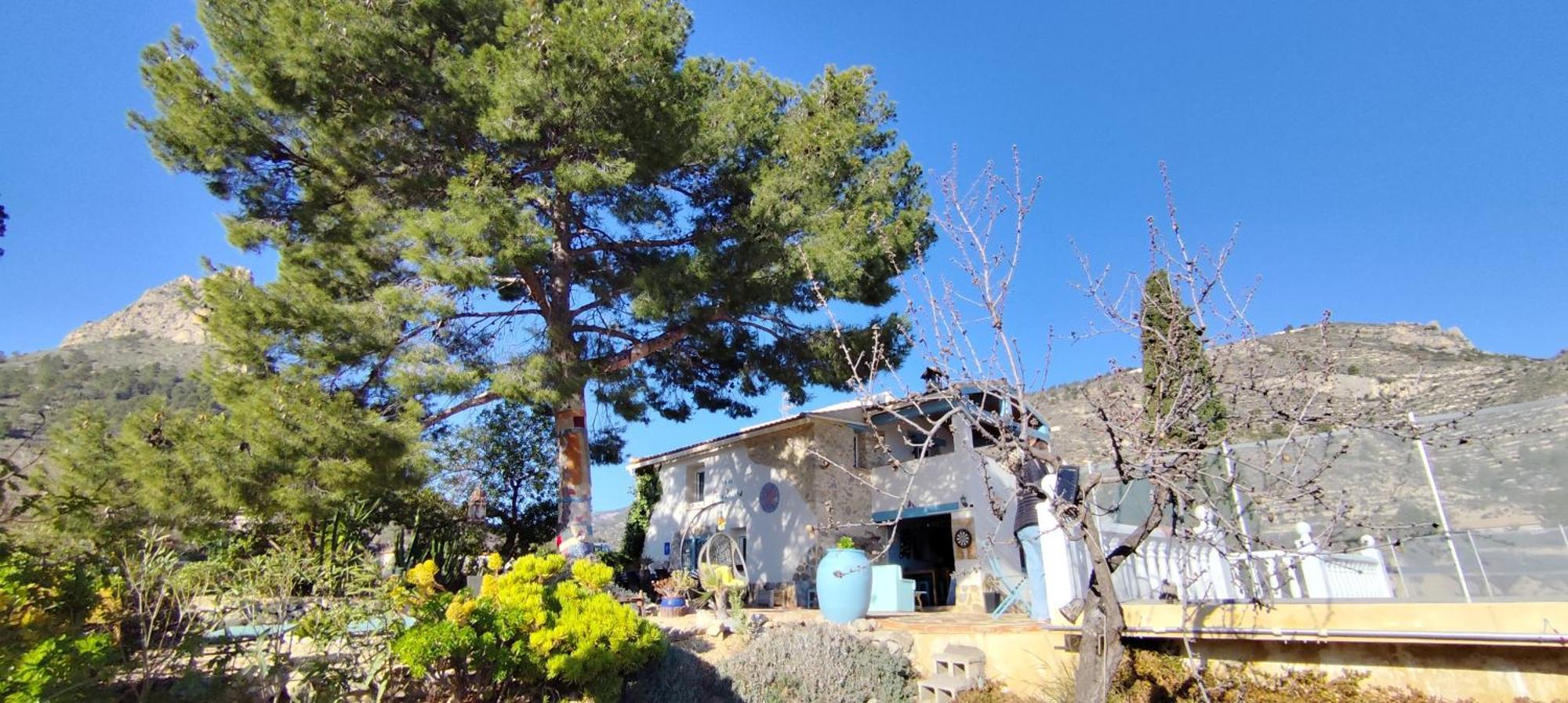Casa Pura Vida Panzió Relleu Kültér fotó